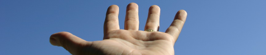 Random header image... Refresh for more!