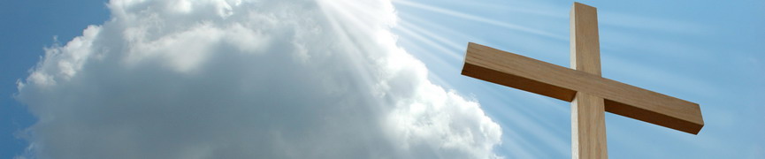 Random header image... Refresh for more!